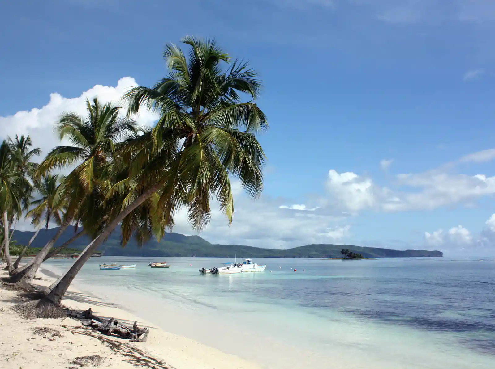Dominican Republic coast — spearfishing