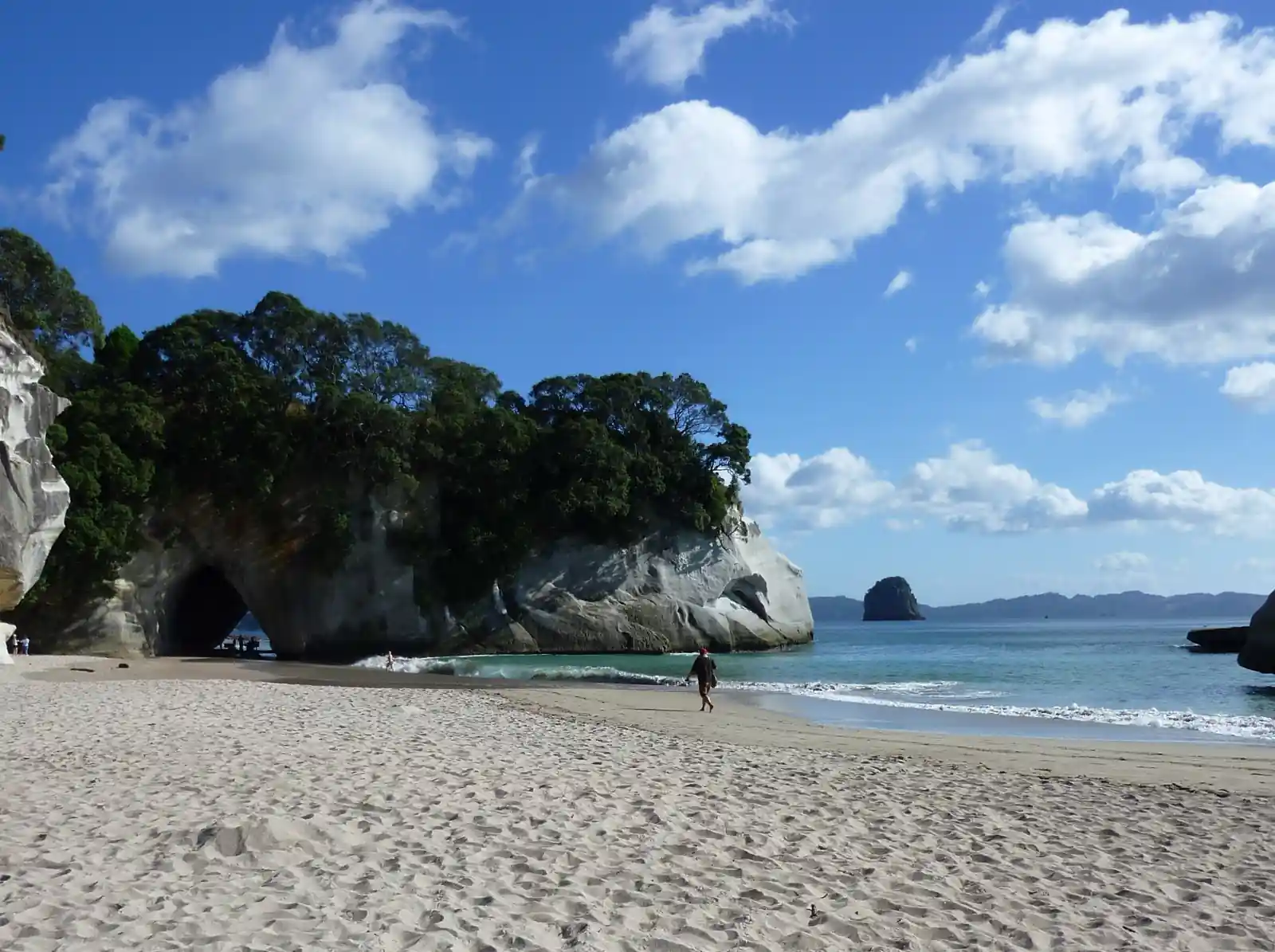 New Zealand coast — spearfishing