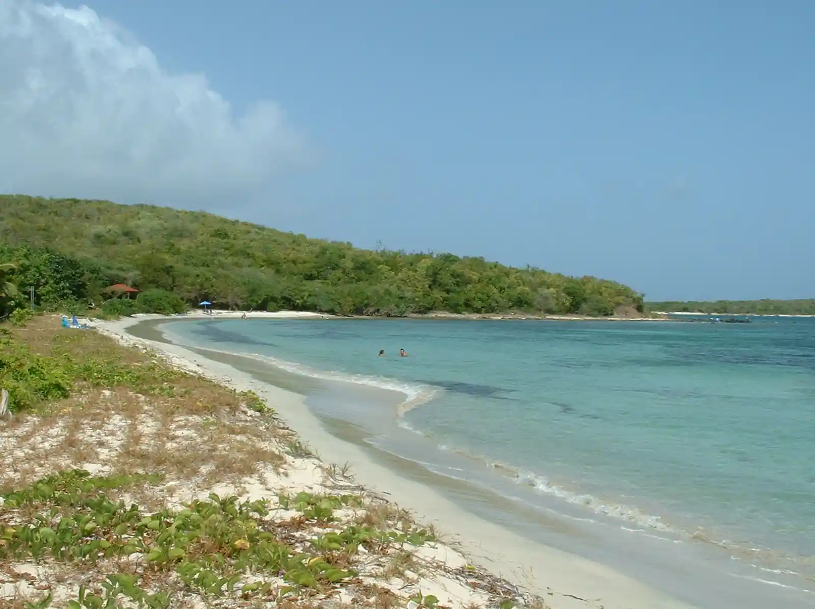 Puerto Rico coast — spearfishing