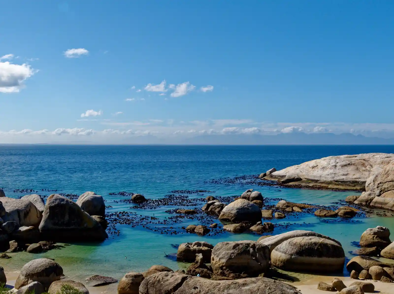 South African coast — spearfishing